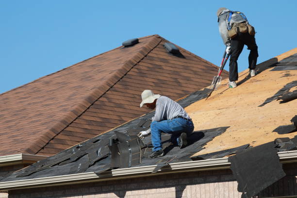 Professional Roofing services in Ocala, FL