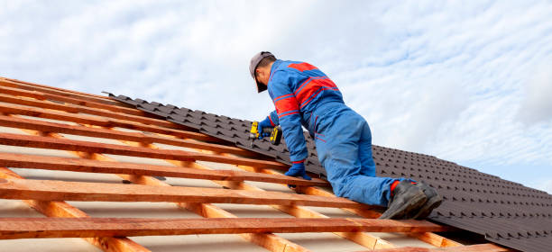 Best Cold Roofs  in Ocala, FL